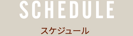スケジュール